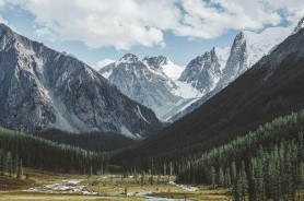 反差大赛到底为什么总有人悄悄收藏