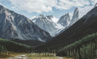 这一波讨论突然炸了，蘑菇视频下载这事，结果比想象更夸张，一不留神就会理解错