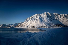 关于每日大赛，为什么总有人悄悄收藏